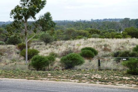 Property photo of 10 Thiele Avenue Loxton SA 5333