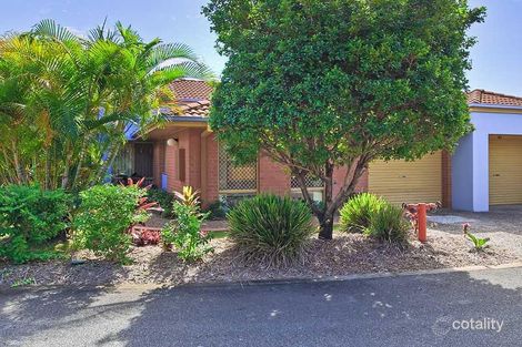 Property photo of 41/54 Gemvale Road Reedy Creek QLD 4227