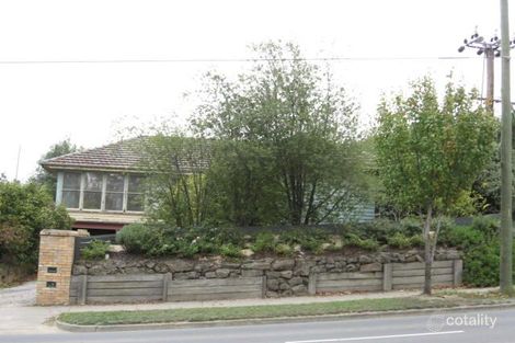 393 Middleborough Rd, Box Hill, VIC 3128