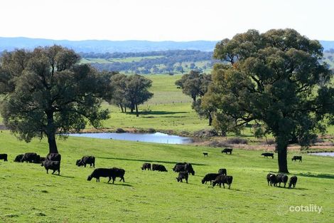 289 Murrays Lane, Book Book, NSW 2650