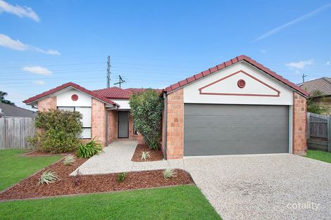 14 Selina Ct, Marsden, QLD 4132