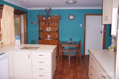 Property photo of 7 Tinga Crescent Kooringal NSW 2650