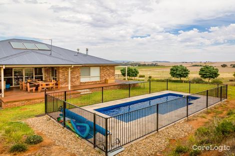 Property photo of 384 Ryans Lane Cootamundra NSW 2590