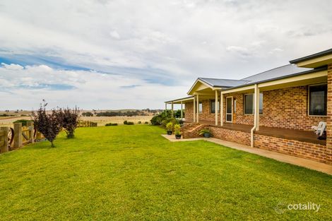 Property photo of 384 Ryans Lane Cootamundra NSW 2590