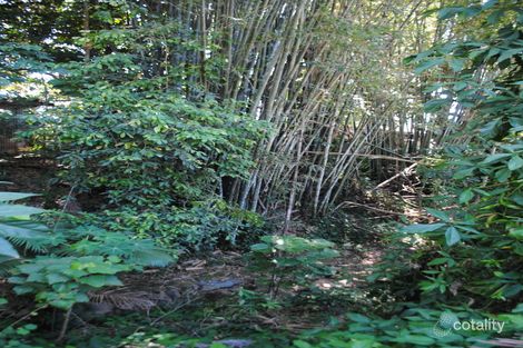 Property photo of 14 Watkins Street Tully QLD 4854