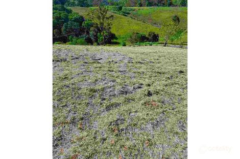 Property photo of 2-8 McCausland Court Clear Mountain QLD 4500