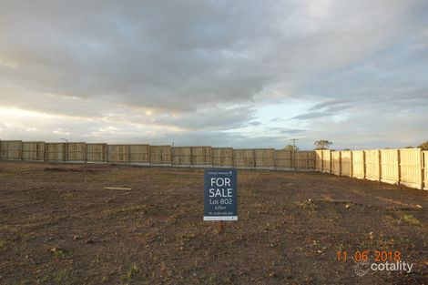 Property photo of 16 Ridgeview Drive Cliftleigh NSW 2321