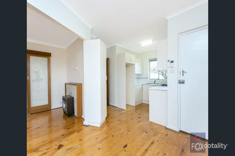 Property photo of 49 Markham Avenue Enfield SA 5085