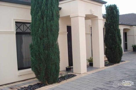 25c Lindfield Ave, Edwardstown, SA 5039