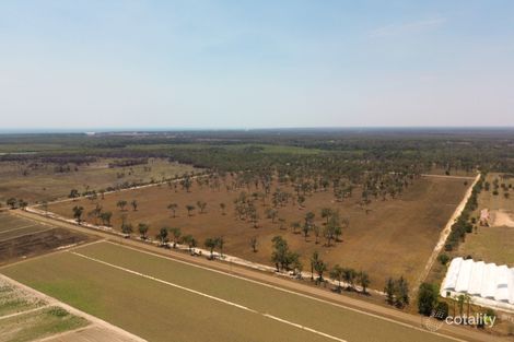 Property photo of 99 Palm Springs Drive Calavos QLD 4670