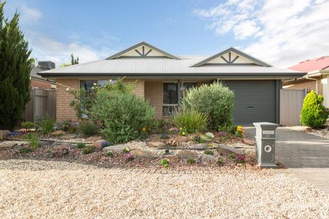 61 Parkway Cct, Parafield Gardens, SA 5107