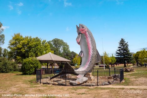 50 Scenic Dr, Adaminaby, NSW 2629