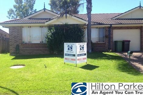 1/2 Risbey Pl, Bligh Park, NSW 2756