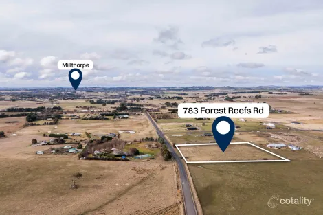 Property photo of 783 Forest Reefs Road Forest Reefs NSW 2798