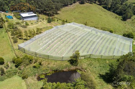 8 Valley View Rd, Talarm, NSW 2447