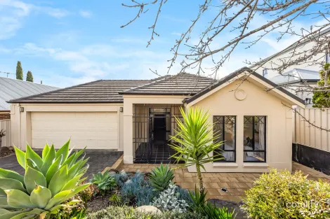 Property photo of 36 Grenache Circuit Craigburn Farm SA 5051