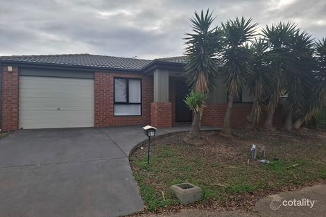51 Manuka Gr, Wyndham Vale, VIC 3024