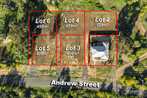 Property photo of 56 Andrew Street White Hills VIC 3550
