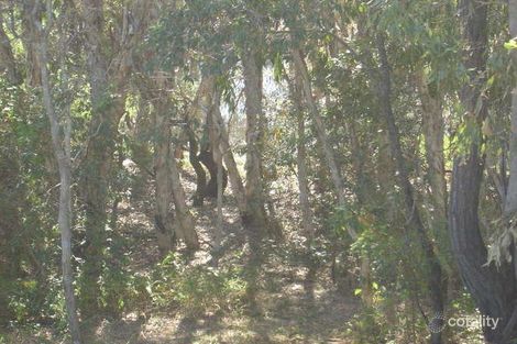 Property photo of 8 Cormorant Court Douglas QLD 4814