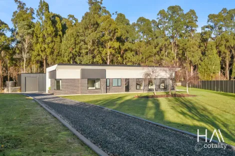 46 Berne Ct, Grindelwald, TAS 7277