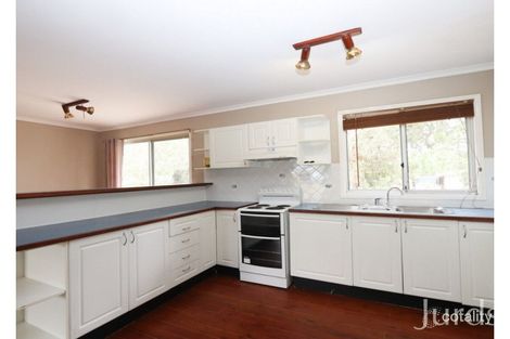 Property photo of 23 Nelson Street Broke NSW 2330