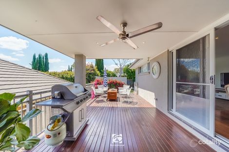 Property photo of 25 Grimes Avenue Elderslie NSW 2570