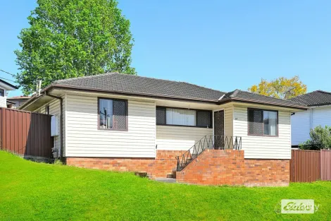 Property photo of 41 Townview Road Mount Pritchard NSW 2170