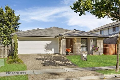 43 Flinders Cct, Fitzgibbon, QLD 4018