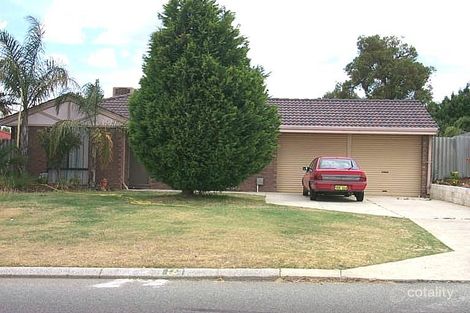 16 Dryandra Dr, Mirrabooka, WA 6061