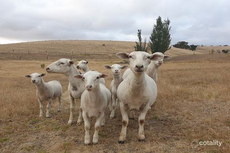 Property photo of 411 James Track Inman Valley SA 5211