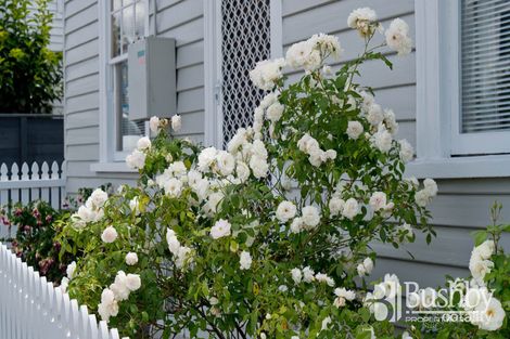 Property photo of 72 Melbourne Street South Launceston TAS 7249