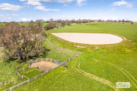 1775 Heathcote-Kyneton Rd, Barfold, VIC 3444