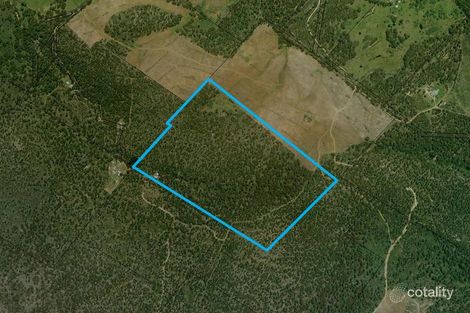 1144 Bluff Rd, Elderslie, TAS 7030