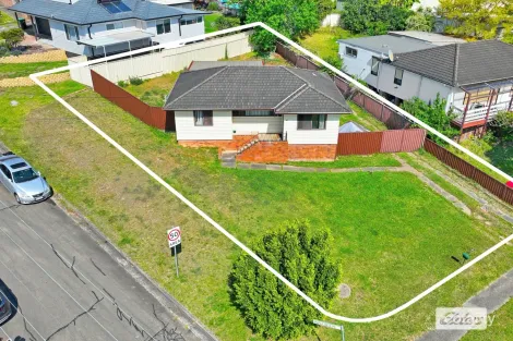 Property photo of 41 Townview Road Mount Pritchard NSW 2170