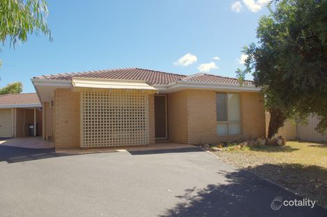Property photo of 11A Wilton Close Mount Tarcoola WA 6530