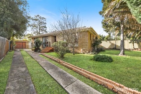 Property photo of 19 Aldridge Street Endeavour Hills VIC 3802