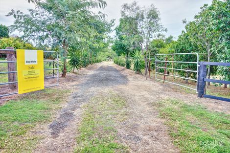 Property photo of 23 Carol Anne Court Regency Downs QLD 4341