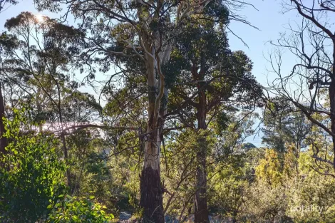Property photo of 27 Stewart Crescent Taroona TAS 7053