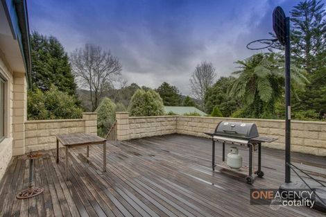 Property photo of 52 Mt Pleasant Road Monbulk VIC 3793