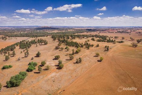 323 Comobella Rd, Geurie, NSW 2818