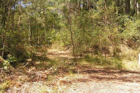 Property photo of 2185 Springbrook Road Springbrook QLD 4213