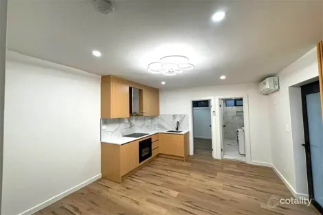 Property photo of 52 Cornelia Street Wiley Park NSW 2195