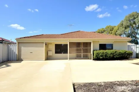 Property photo of 19 Silver Grove Warnbro WA 6169