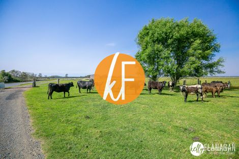 1 Kinchela Creek Left Bank Rd, Kinchela, NSW 2440