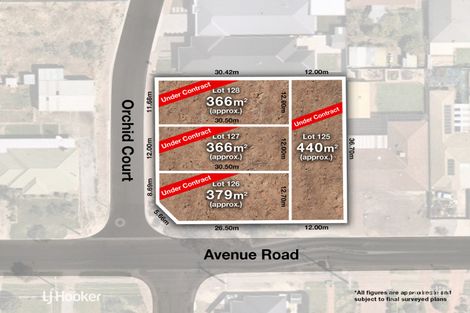 Property photo of 22 Avenue Road Paradise SA 5075