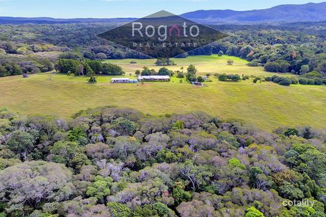Property photo of 1529 Black Mountain Road Mona Mona QLD 4881