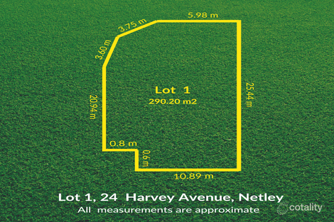 24 Harvey Ave, Netley, SA 5037