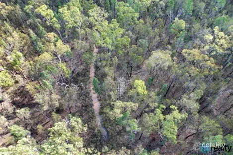 Lot 21 Pine Ridge Rd, Condamine Farms, QLD 4357