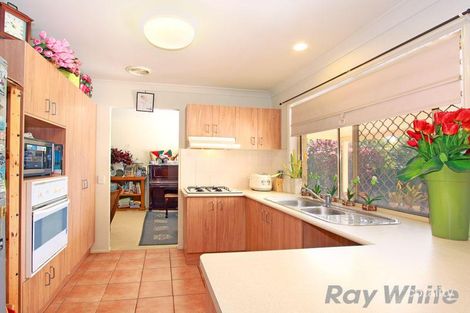 Property photo of 55 Silkyoak Circuit Fitzgibbon QLD 4018