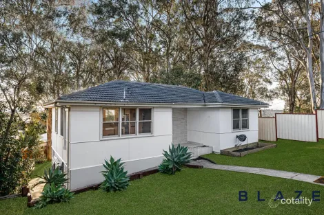 Property photo of 11 Wheeler Avenue Lurnea NSW 2170